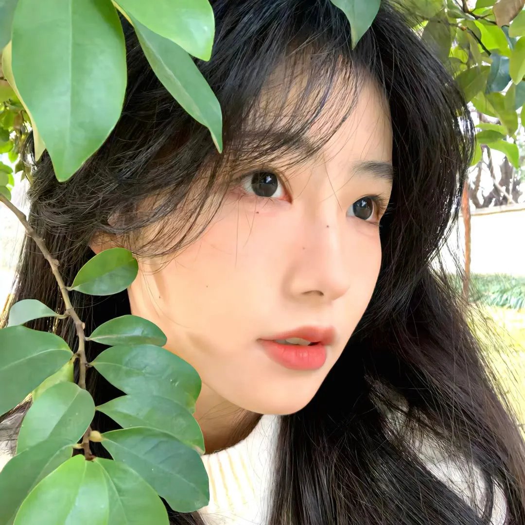 播种的旅人 ~农之茶~